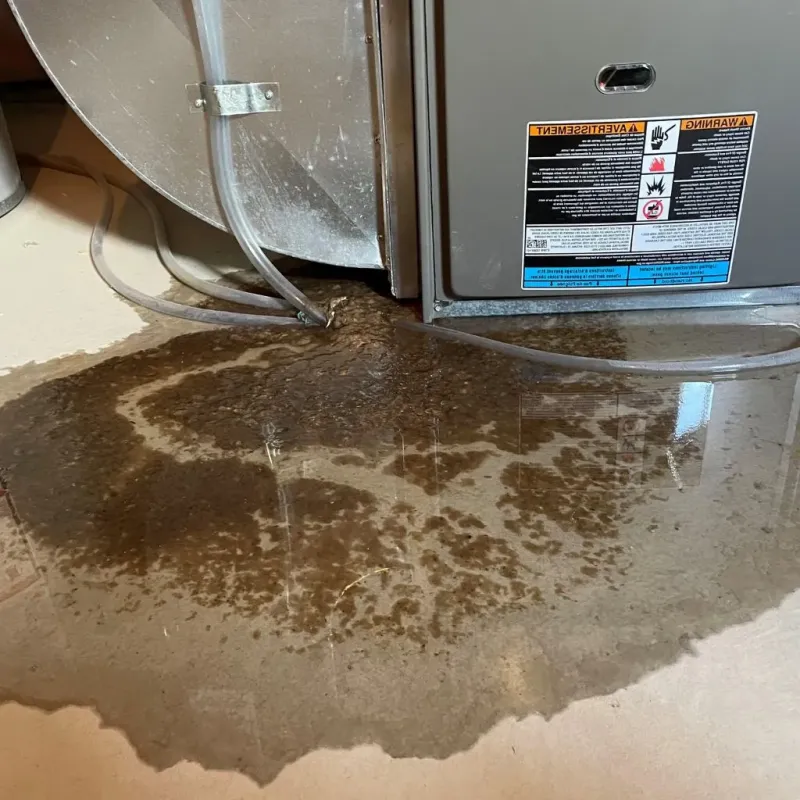Pipe Burst and Leak Restoration in Hampstead, MD